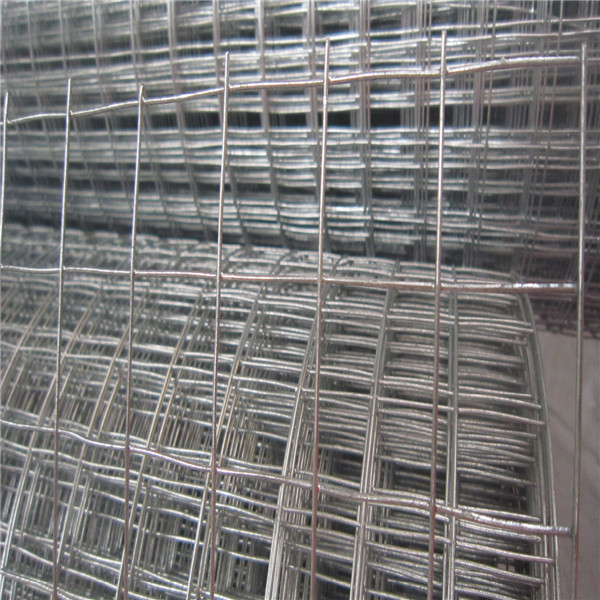 galvanized welded wire mesh manufacturer