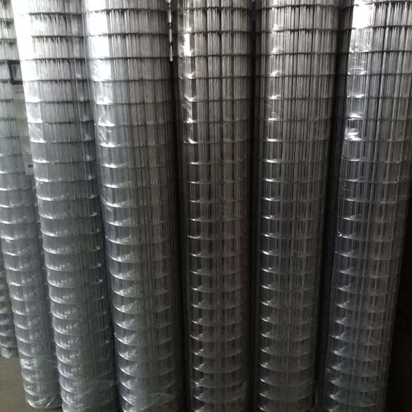 galvanized welded wire mesh Online