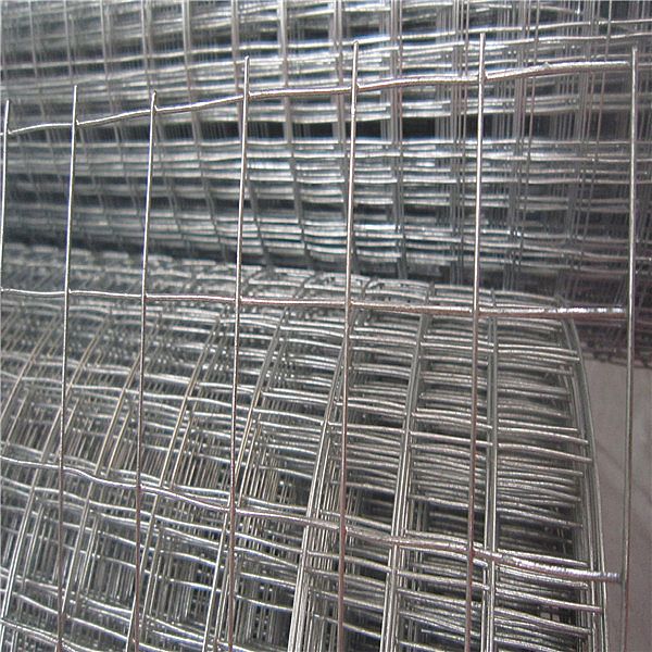 Electro Galvanized Welded Wire Mesh