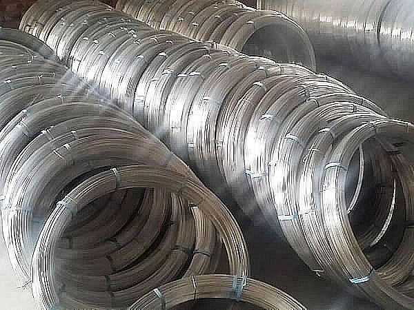 Galvanized Oval  Wire  for Sale