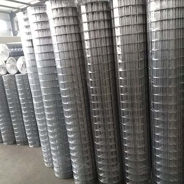 galvanized welded wire mesh