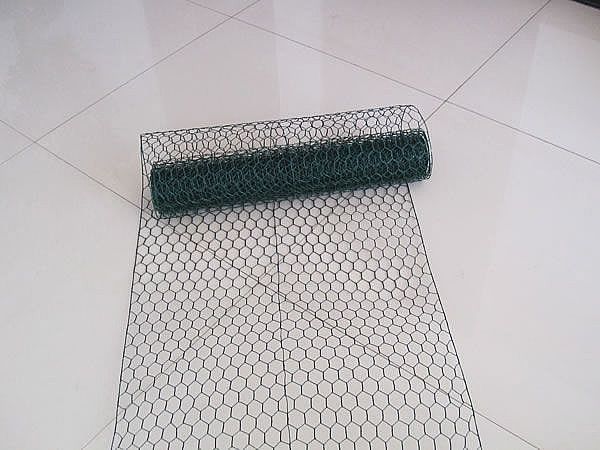 Galvanized Hexaognal Wire Mesh