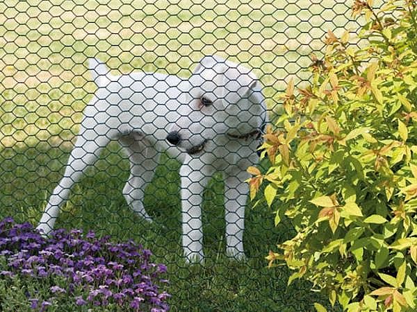 Hexagonal wire netting